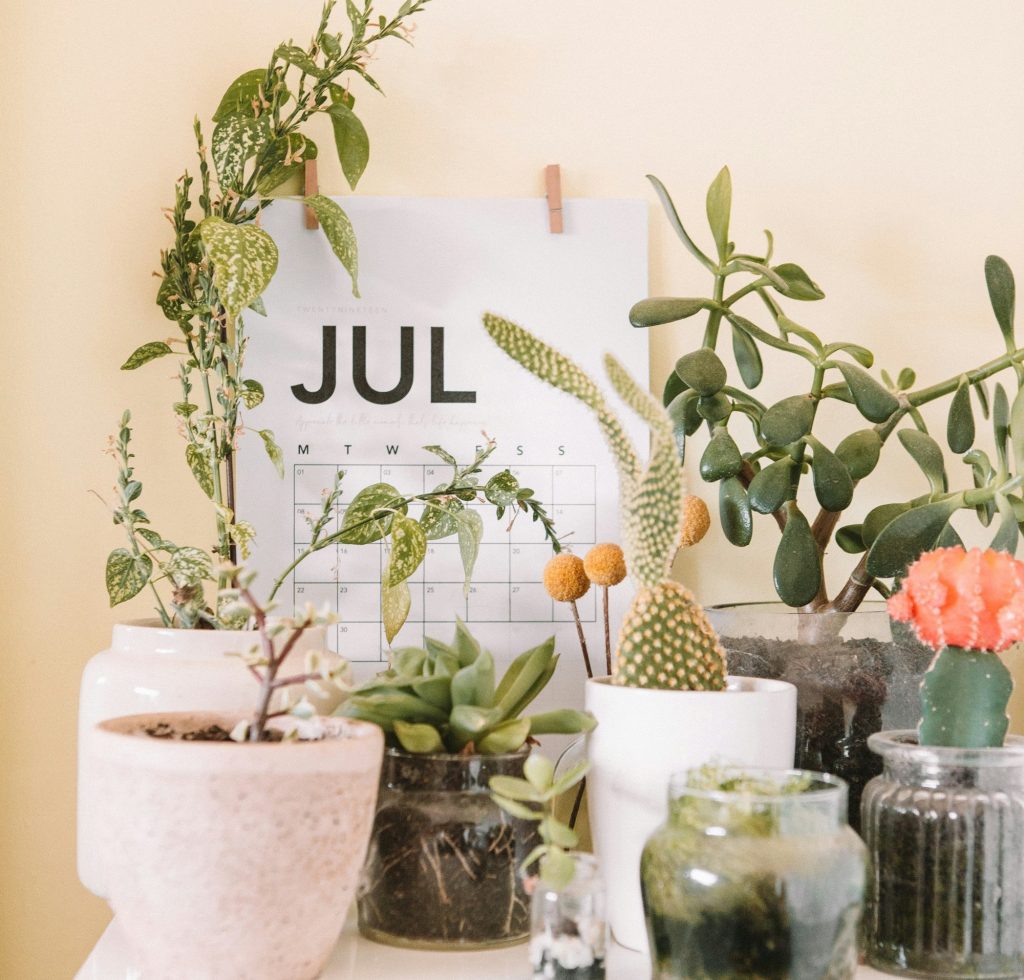 Interactive Sermon Notes: July&nbsp;2025